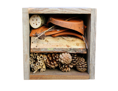 Bekender met klimaat diy insectenhotel - 30 x 30 x 15cm