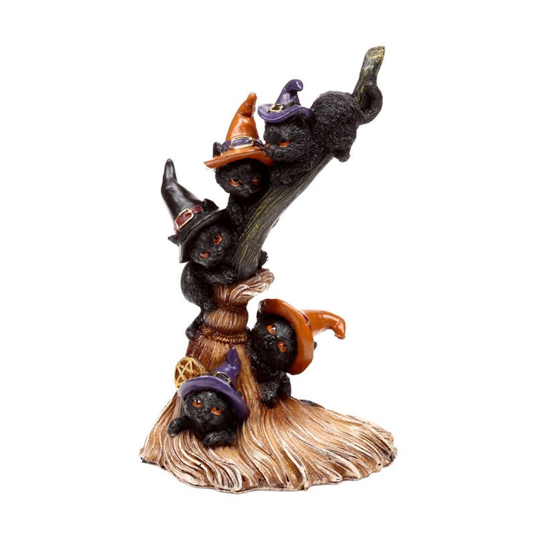 Heksen zwarte kat climbing broomstick