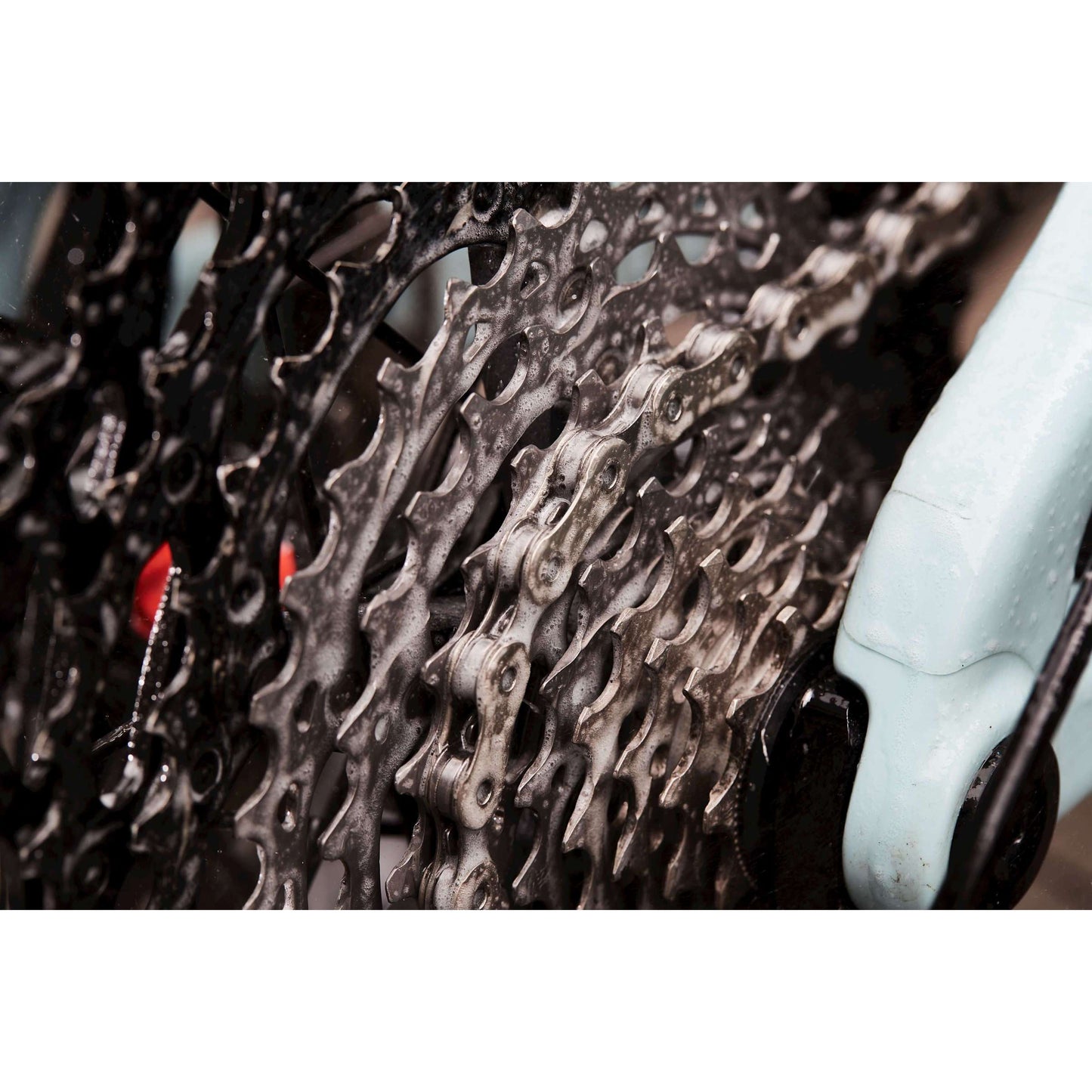 biologisch afbreekbare ontvetter blauw 5 liter