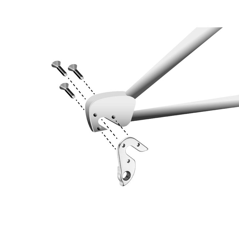 Union derailleurpad GH-154 diverse merken met schroefset