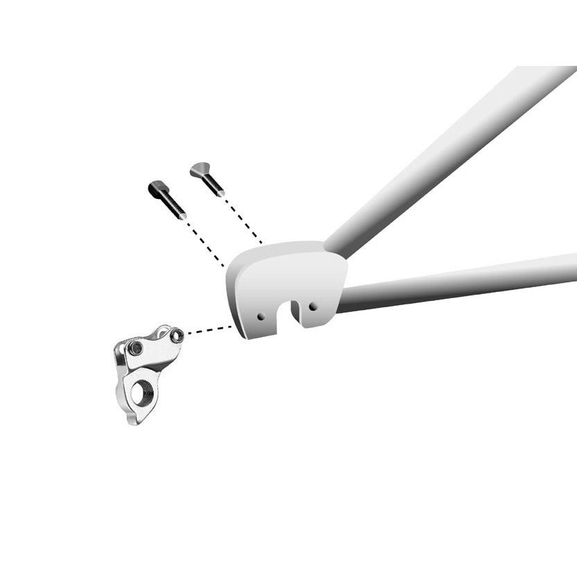 Union derailleurpad gh-160 cannondale met schroefset