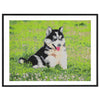 Craft id diamond painting, 40x50cm, dog