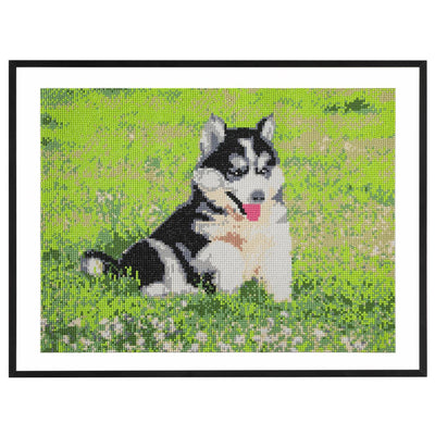 Craft id diamond painting, 40x50cm, dog