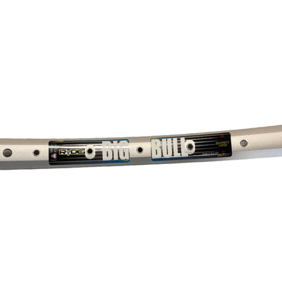 Ryde b.v. velg 28' - 14 bigbull 28'-622 36 alu. zilver 36 gts. db