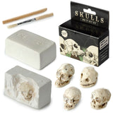 Menselijke schedel opgraving set dig-a-saurus - afbeelding 1