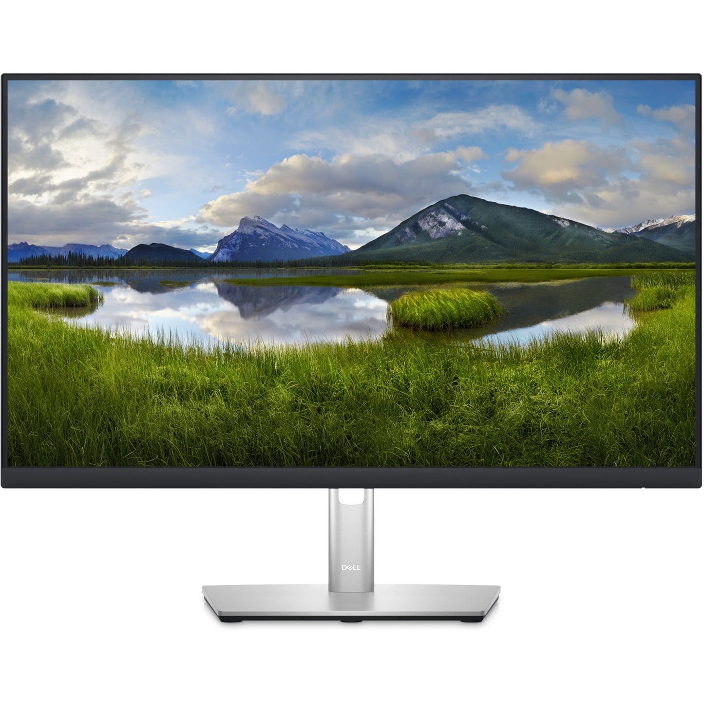 Dell P2423D
