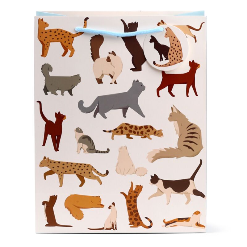 Feline fine katten - cadeautasje large