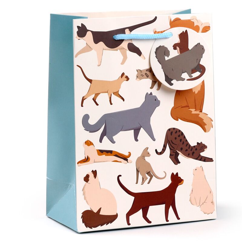 Feline fine katten - cadeautasje medium