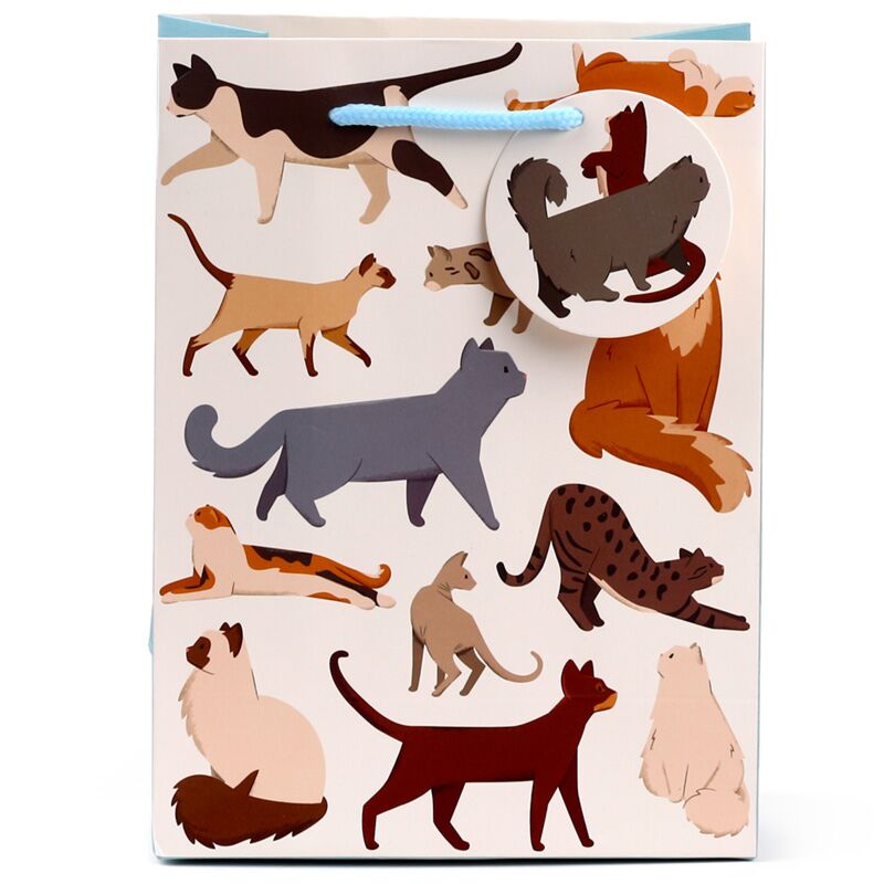 Feline fine katten - cadeautasje medium