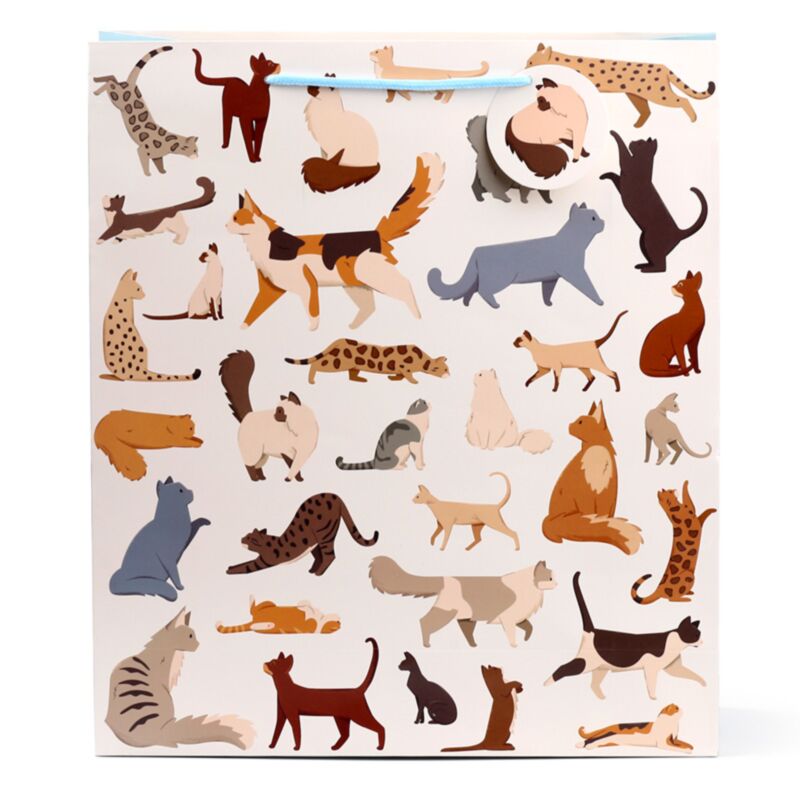 Feline fine katten - cadeautasje xl
