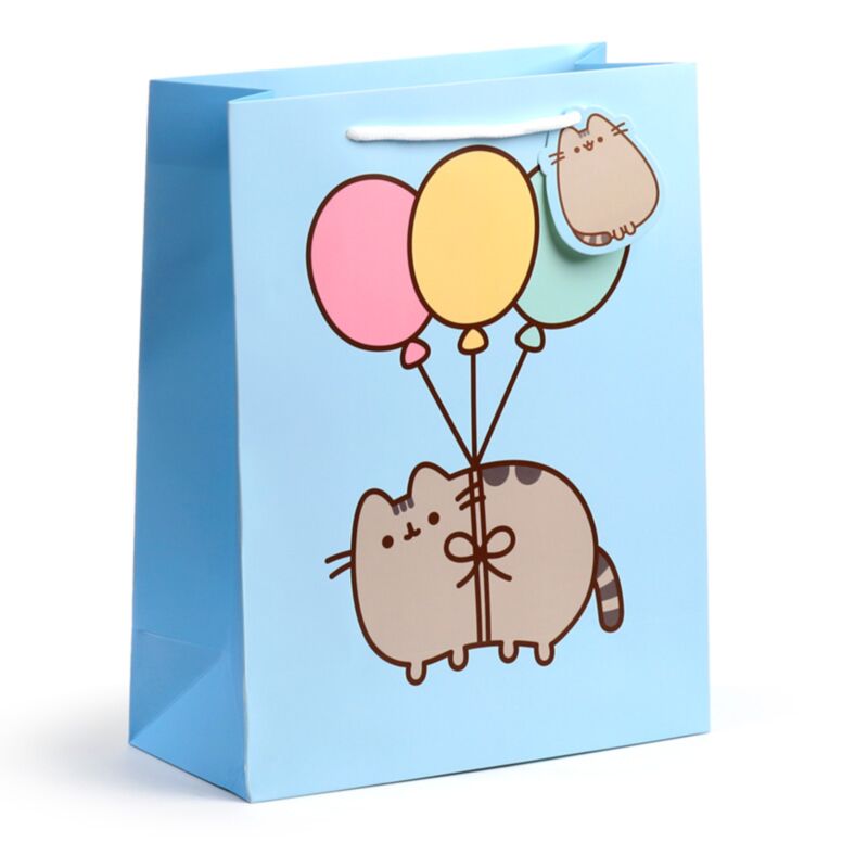 Union pusheen de kat balonnen - cadeautasje large