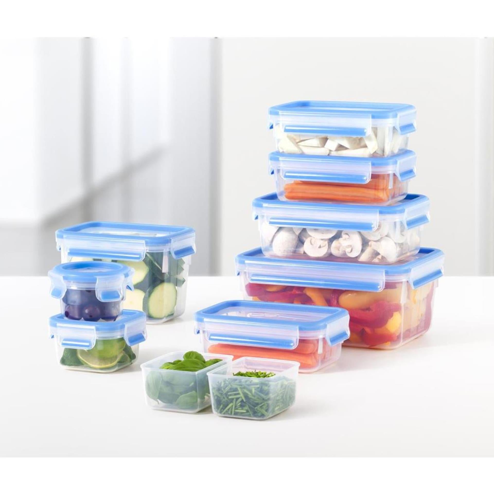 Tefal masterseal fresh ijsblokjesdoos