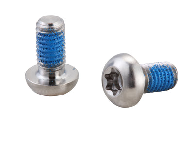 Remschijfboutjes Elvedes M5 × 11 RVS (10 stuks)