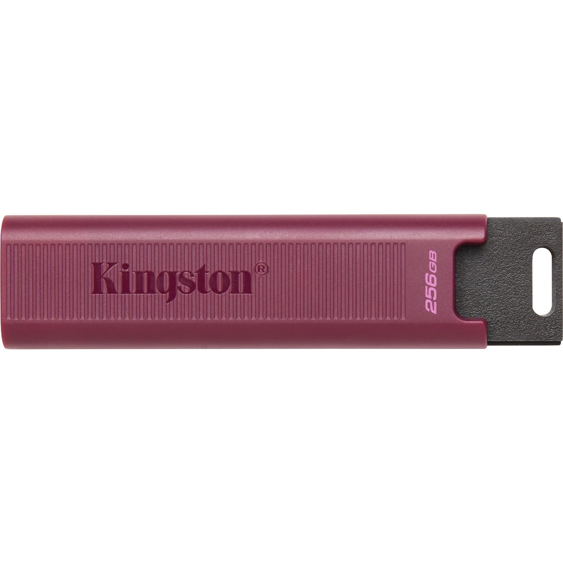 Kingston DataTraveler Max 256 GB