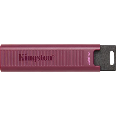 Kingston DataTraveler Max 256 GB