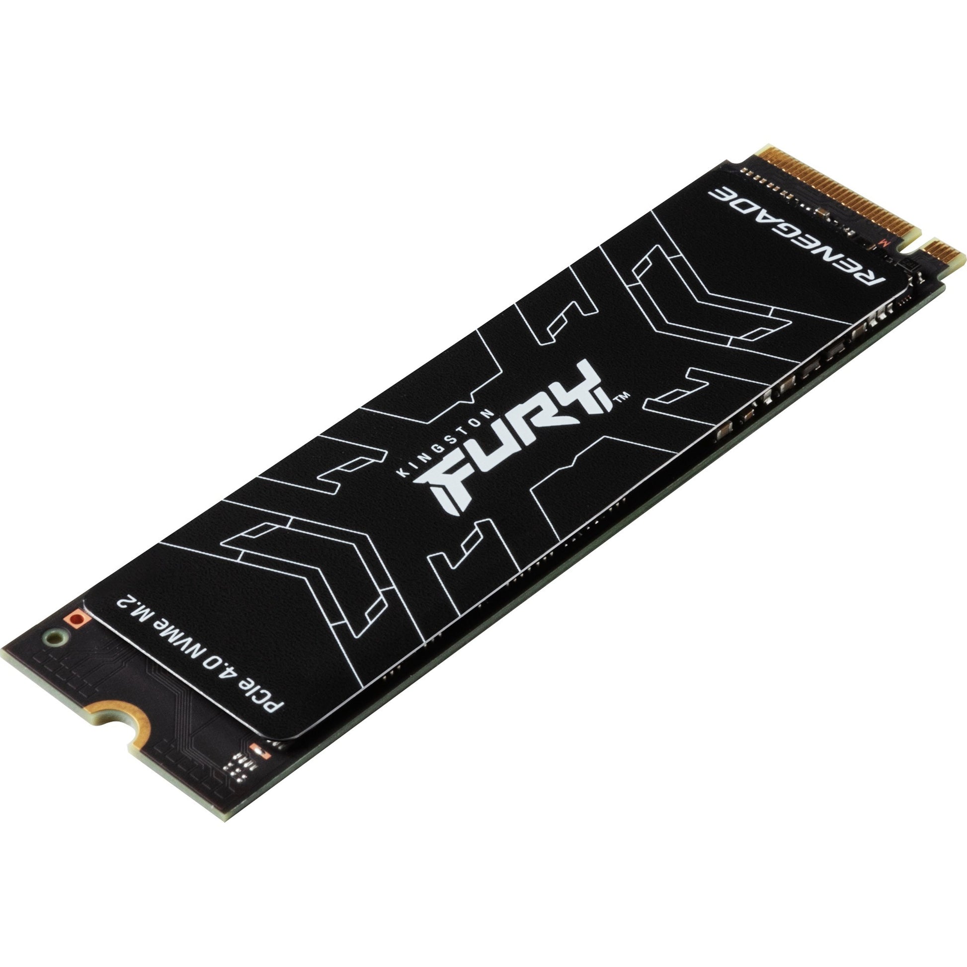 Kingston FURY Kingston FURY Renegade 500 GB