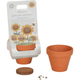 Little dutch plantenpotje zonnebloem - afbeelding 2