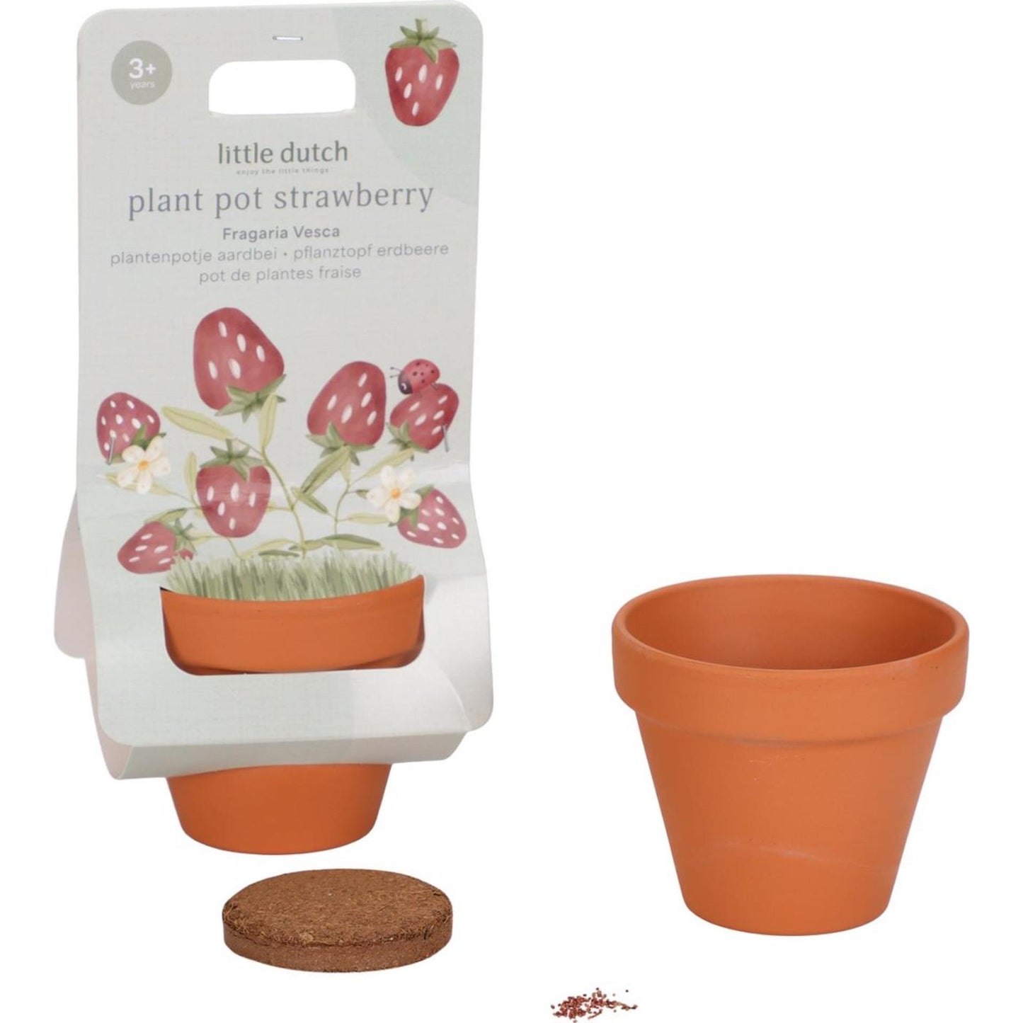 Little dutch plantenpotje aardbei