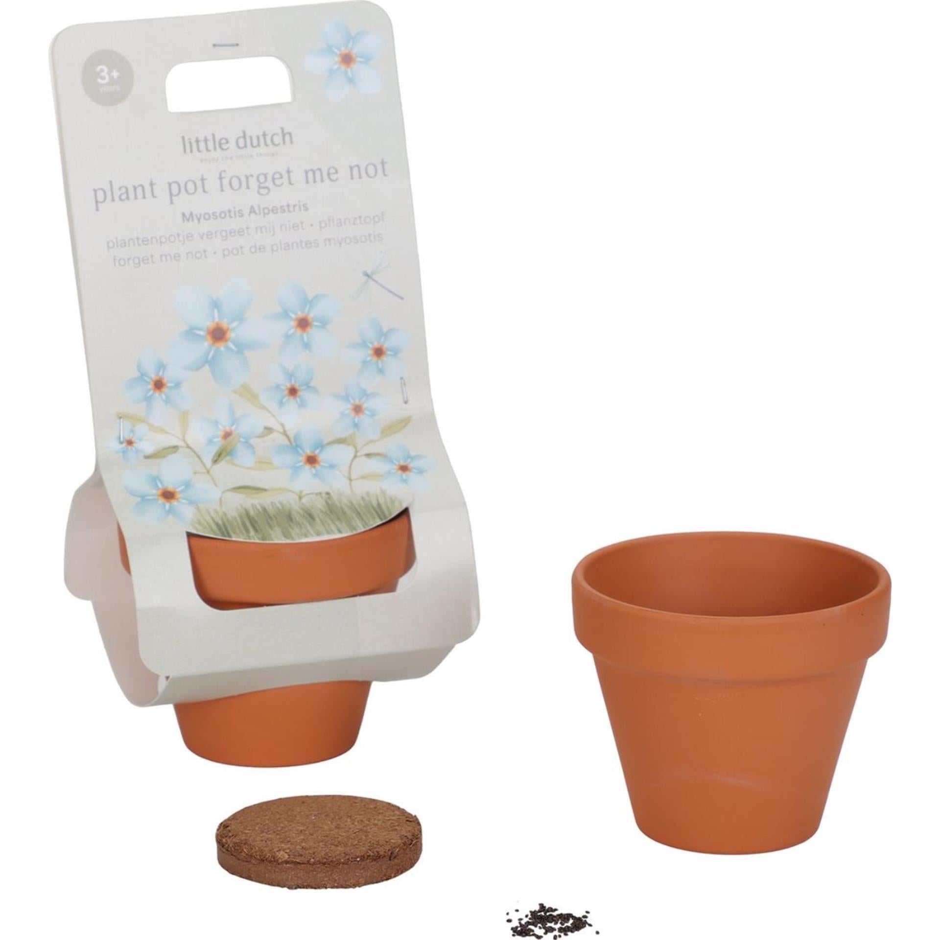 Little dutch potje vergeet-mij-nietjes