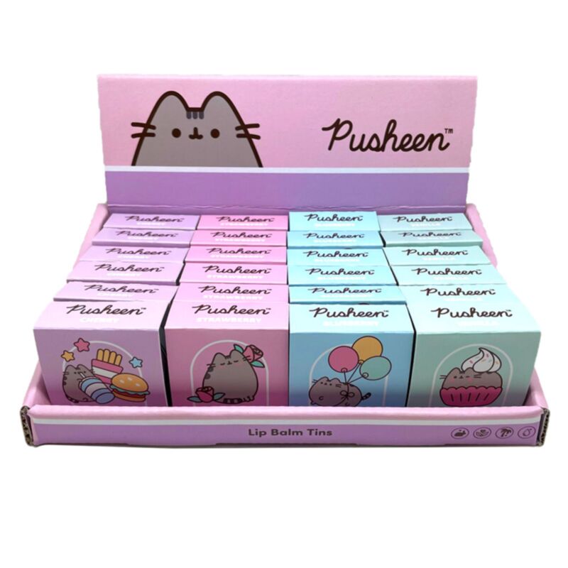 Union pusheen kat 2024 lipbalsem in blik