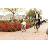 Steco draadmand vintage staal chroom - afbeelding 2