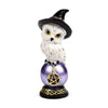 Wise old magical owl op regenboogglans uil