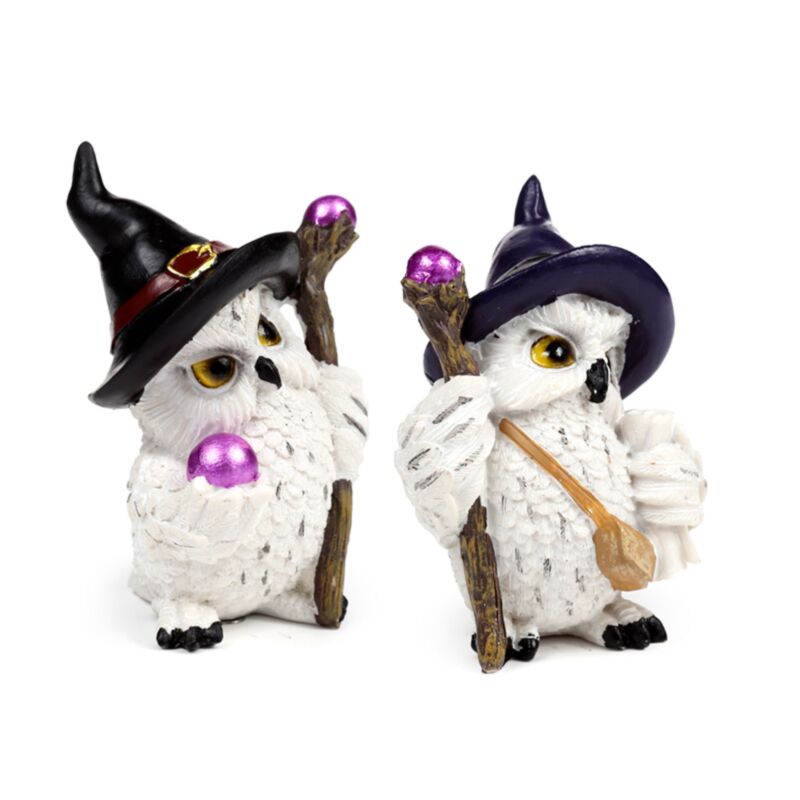 Wise old magical owl op magische reis