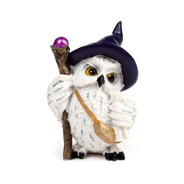 Wise old magical owl op magische reis