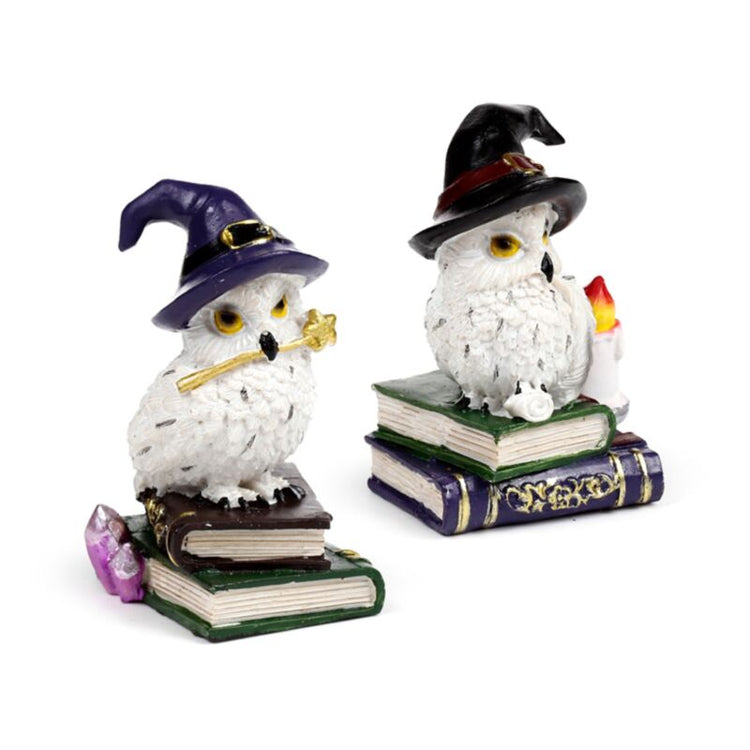 Wise old magical owl op spreukenboek