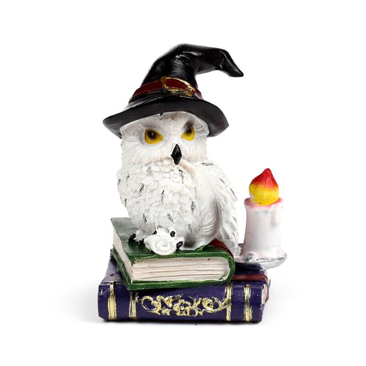 Wise old magical owl op spreukenboek