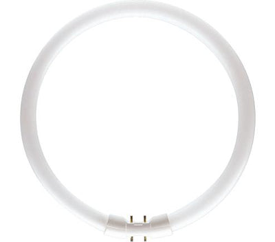 Philips tl5 circular 55w 840 master koel wit 2gx13 | 10 stuks