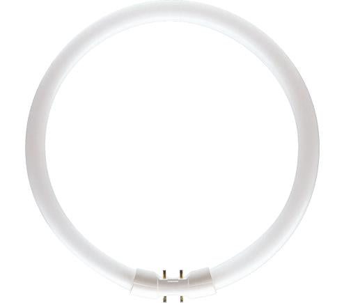 Philips tl5 circular 55w 840 master koel wit 2gx13 | 10 stuks