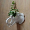 Keramiek olifant hoofd wanddecoratie bloempot binnen