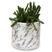 Pick of the bunch lavendel velden staande bloempot binnen - large - afbeelding 2