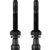 Schwalbe ventiel scv