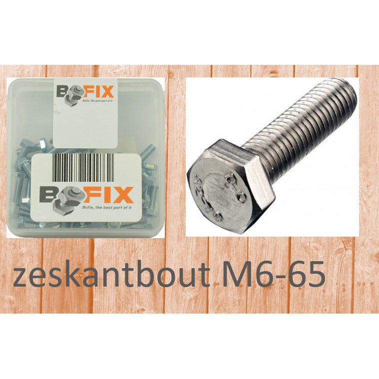 Bofix zeskantbout m6x65 (25st)