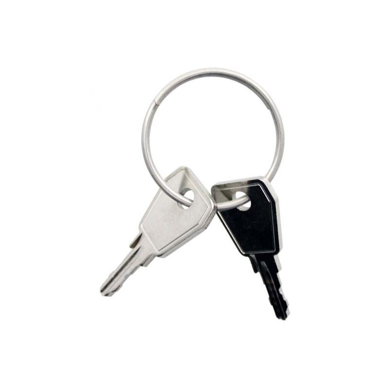 Thule Yepp sleutel Nexxt P1 2 stuks