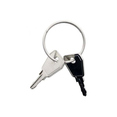 Thule Yepp sleutel Nexxt P5 2 stuks