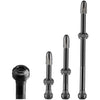 Tubeless ventiel Schwalbe 40mm (2 stuks)