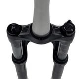 Rockshox voorvork judy silver 29 t100 disc tap. qr zwart oem - afbeelding 4