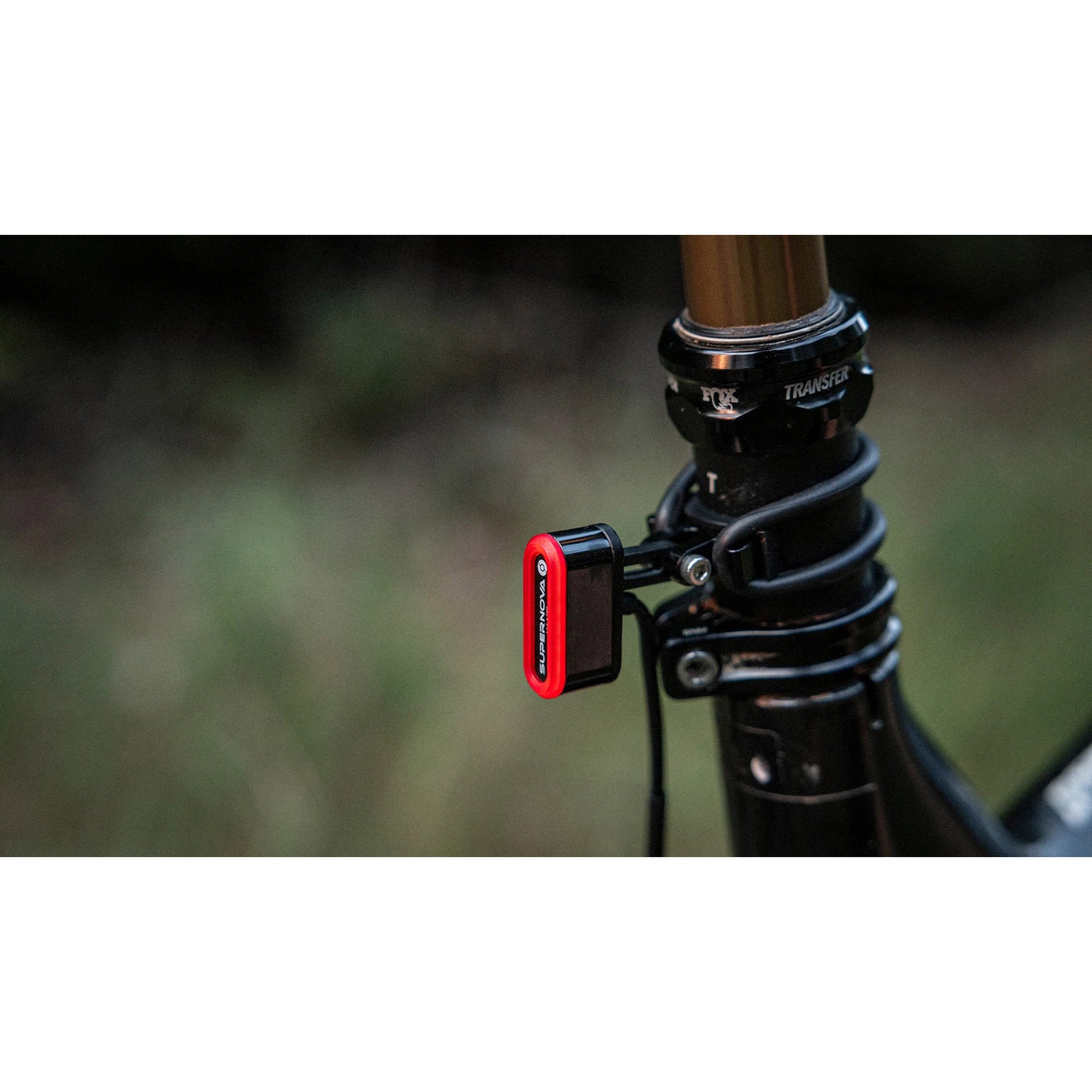 Supernova achterlicht tl3 mini dynamo bagagedrager 12v zwart