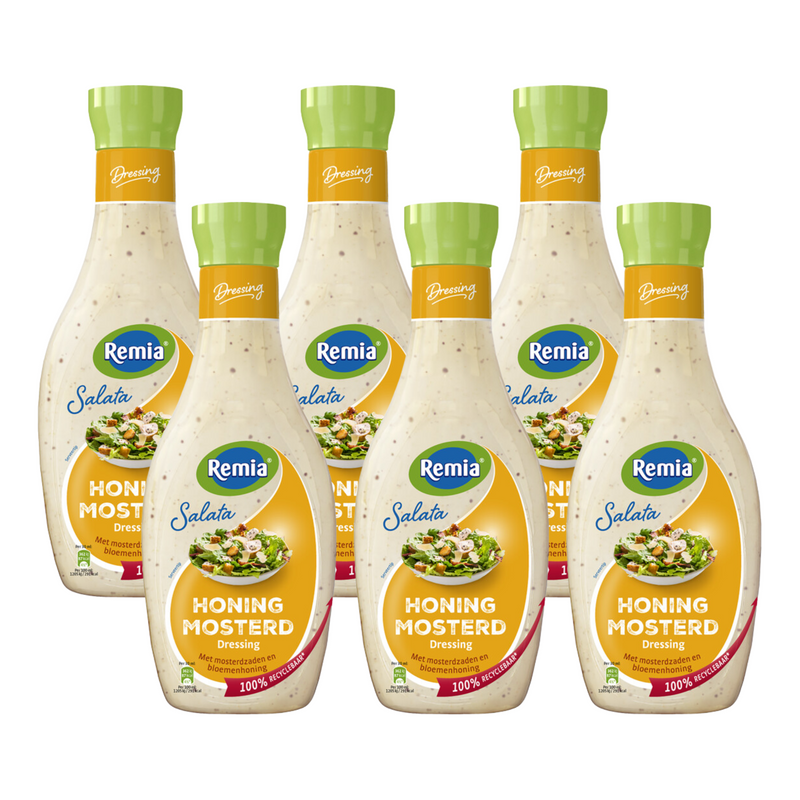 Remia salata honing mosterd (6x 450ml)