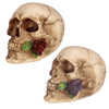 Schedel met roos tussen tanden woonaccessoire