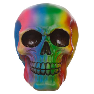 Regenboog schedel woonaccessoire
