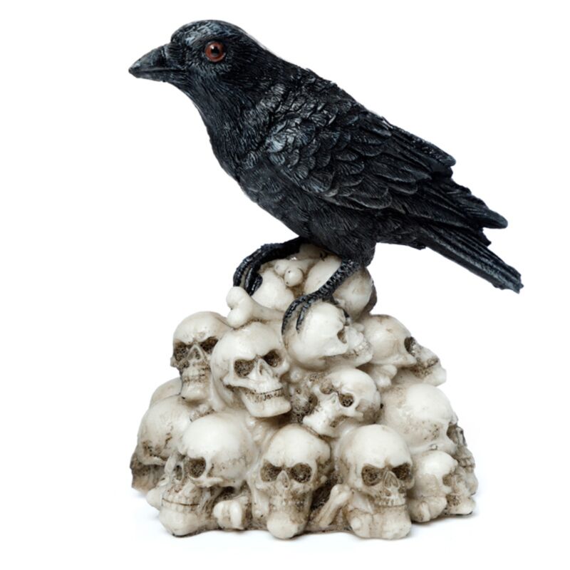 Kraai op schedels woonaccessoire