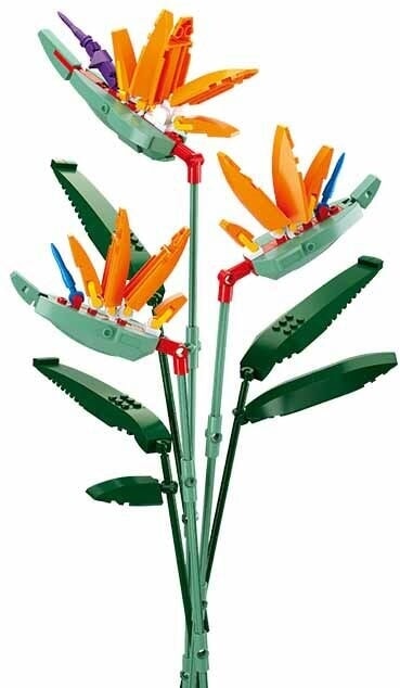 Sluban flowers strelitzia reginae aiton (m38-b1121c)