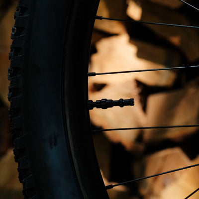 Stan's tubeless exo-core valves - extra tall - black