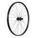 Stan's flow ex3 front wheel - 29'' - 15x110 ta - 6-bolt - gray