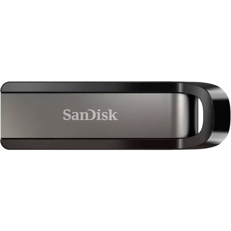 SanDisk Go 256 GB