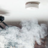 Shelly Shelly Plus Smoke - afbeelding 2